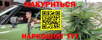крисы Тверь