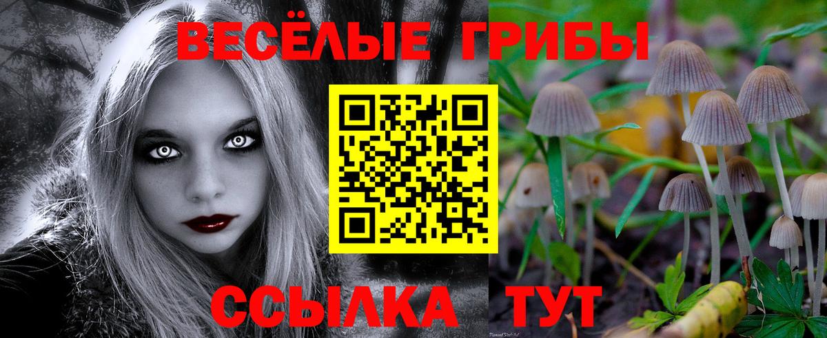 Псилоцибиновые грибы ЛСД Карабулак